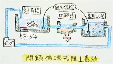 養殖方法|養殖の「方法」と「種類」について 